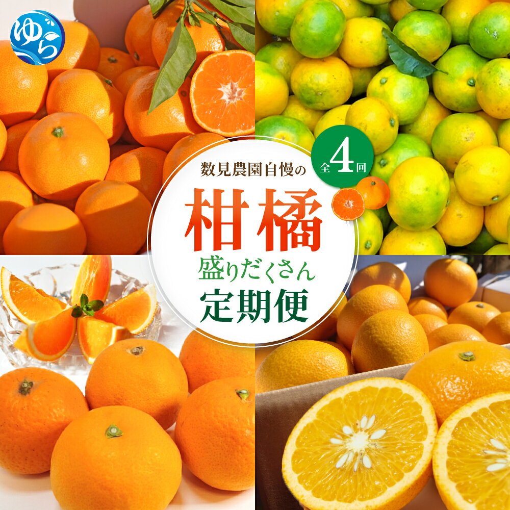 【ふるさと納税】 柑橘 定期便 全4回 / ゆら早生 温州みかん 清見 さつき八朔 和歌山 由良町 極早生 晩柑 数見農園 4kg 4.5kg　//best