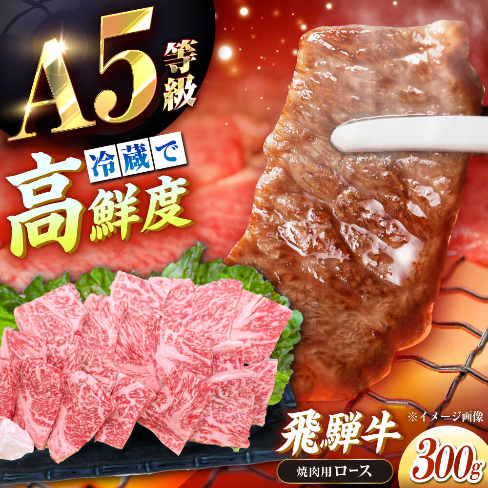 【ふるさと納税】【チルド（冷蔵）発送！】 牛肉 「飛騨牛」 A5等級 ロース 300g / 肉 お肉 にく牛肉 飛騨牛 和牛 国産和牛 ブランド牛 お取り寄せ ステーキ 焼肉 おすすめ 人気 贈答用 ギフト 焼肉 バーベキュー /恵那市/東美濃農業協同組合[AUFX007]