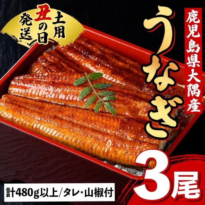 【B57007】土用の丑の日 うなぎ 蒲焼 有頭 (3尾 計480g以上 タレ・山椒付) 鹿児島 国産 大隅産 鰻 蒲焼き【一般社団法人きもつき宇宙協議会】