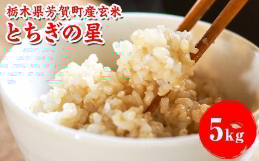 ＼ご好評につき再販！／特A受賞 令和7年度産 とちぎの星 栃木県芳賀町産玄米5kg | 米 お米 玄米 ブランド米 特A評価 令和7年産 新米 とちぎの星 国産 単一米 数量限定