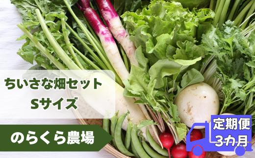 【先行受付】定期便3カ月　有機野菜ちいさな畑セット（Sサイズ　１～２人前）（NK-T519）