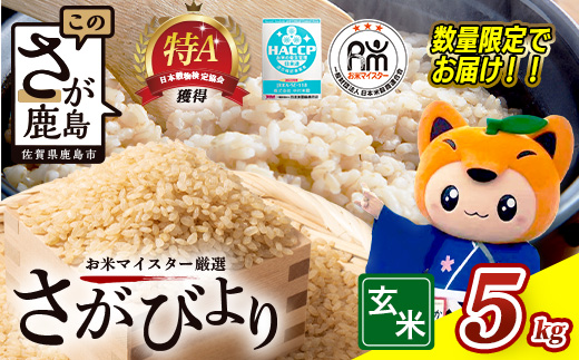 さがびより 新米 令和7年産 佐賀県産 ５kg 玄米【15年連続 特A評価】C-175