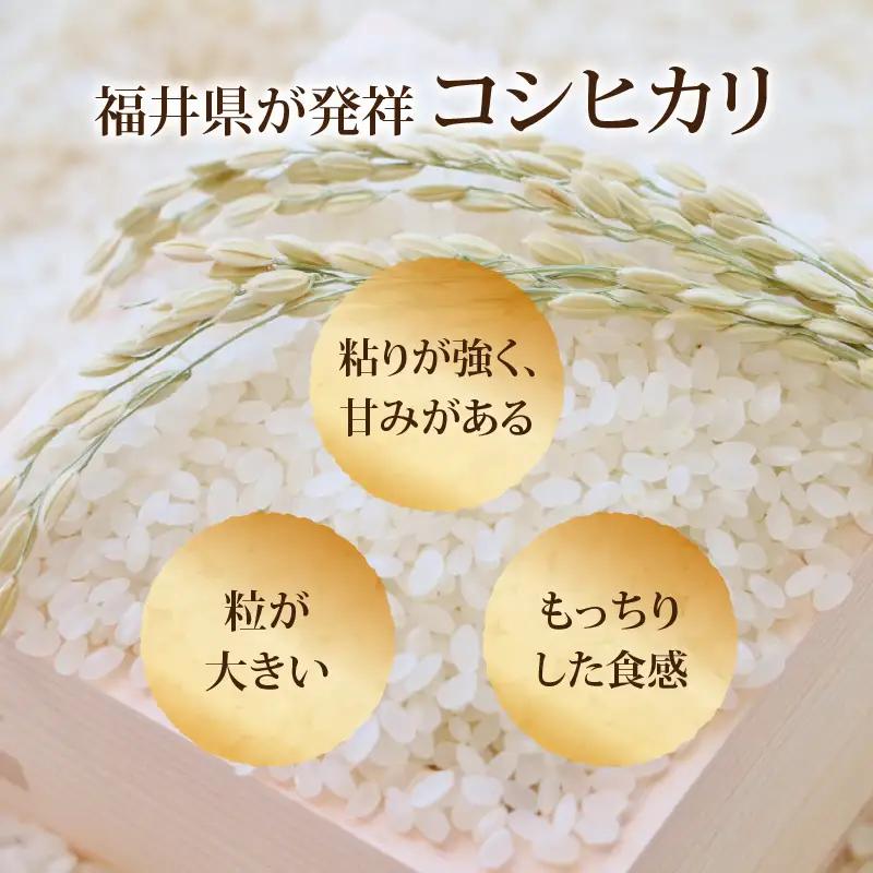 【令和8年度産 新米 先行予約】【白米】特別栽培米 コシヒカリ 10kg  [C-033104]  / 無農薬 減農薬 こしひかり 米 お米 こめ コメ 福井