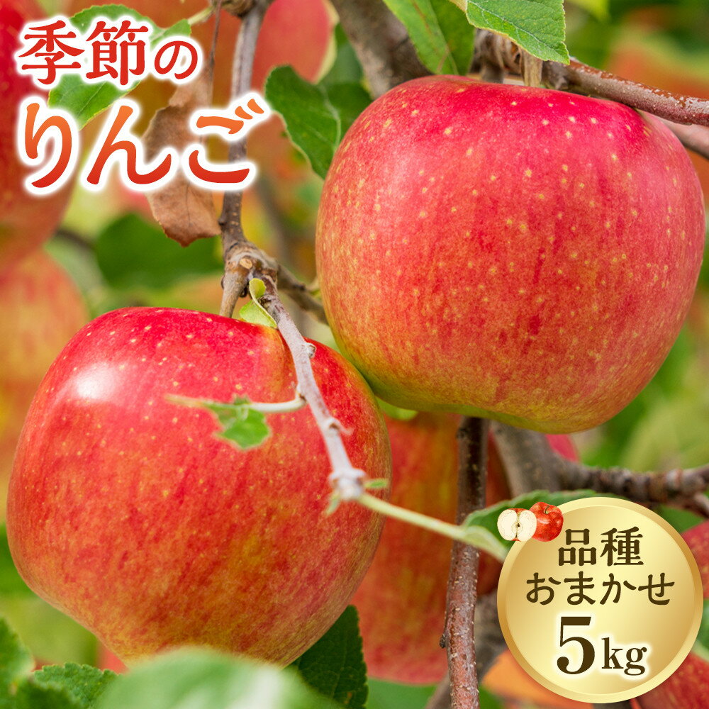 【ふるさと納税】332.【品種はおまかせ】季節のりんご 5kg箱 ※2026年10月上旬～10月下旬頃に順次発送予定 | りんご 林檎 フルーツ 果物 新鮮 先行予約 おまかせ 季節 鳥取県 北栄町 おすすめ 人気
