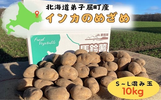 
3037.◆先行予約◆インカのめざめ（10kg）ジャガイモ　産地直送　13000円　10月中旬より出荷予定
