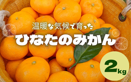 【先行予約】ひなたのみかん　2kg ※2024年12月頃に順次発送予定【期間限定・先行予約・2024/11/30まで】 / 田辺市 みかん 期間限定 先行予約 ミカン 和歌山 紀州 【okm001】