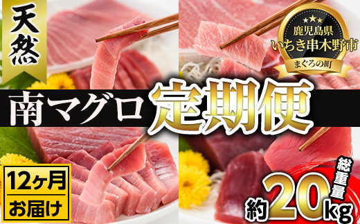 【12ヶ月定期便】南マグロ大トロ、中トロ、赤身を1年間毎月送付（合計12回　約20kg！）　新洋水産（有）【00-019-08-TK】