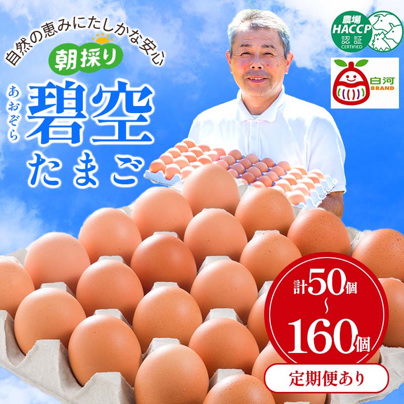 【ふるさと納税】＼選べるお届け回数・個数／ビタミンE豊富な「碧空たまご」50個 80個 160個 1回 3回 6回 卵 タマゴ 玉子 朝どり 石井養鶏場 F21R-022var