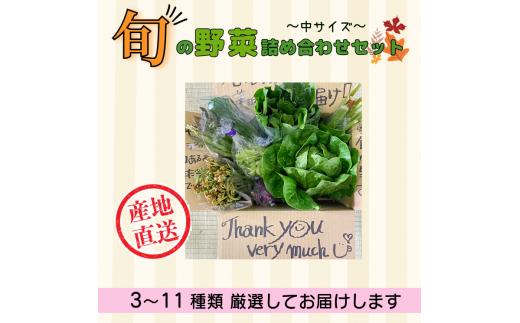 【期間限定】旬の野菜詰め合わせセット（中）(P-1.4)