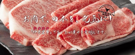 伊万里牛食べつくし 定期便 6回便  モモスライス入り ヒレステーキ 15万円コース J252