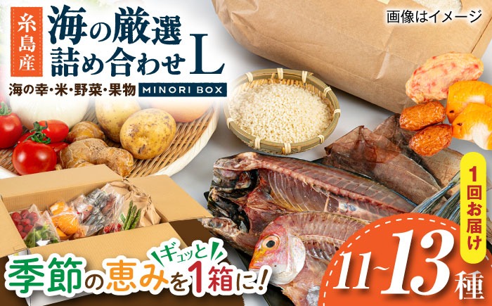 糸島産 魚 米 野菜 果物 厳選詰め合わせ MINORI BOX Lサイズ 糸島市 / emma.Inc / 米 魚 野菜 果物 詰め合わせ[AOP027]