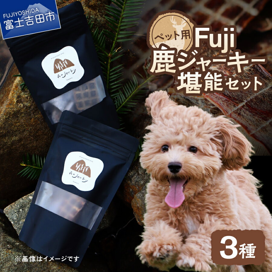 【ふるさと納税】 鹿肉 ジャーキー 20g 50g 鹿ふりかけ ペット用 セット 鹿 国産 天然素材 低脂肪 高たんぱく 無添加 手作り おやつ ご褒美シャーキー 愛犬 愛猫 ごはん エサ 犬用 猫用 ジビエ SDGs ペット フード Tomoru