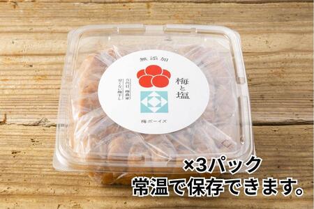 【大容量・常温保管可能 】ミネラル豊かな天日塩だけで漬けた無添加梅干し3kg/南高梅 C202