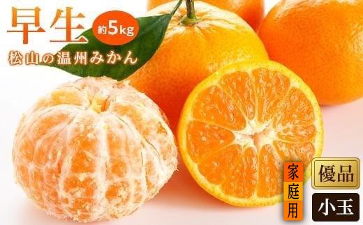 
                  【2026年11月中旬頃から順次発送】 温州みかん「早生」<家庭用(優品)・小玉> 約5kg 愛媛みかん 愛媛蜜柑 愛媛ミカン うんしゅう みかん mikan 先行予約 果物 フルーツ 柑橘 濃厚 甘い 甘味 蜜柑 産地直送 農家直送 数量限定 国産 愛媛 愛媛県産
                