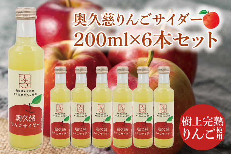 
            【数量限定】奥久慈りんごサイダー 200ml×6本セット｜茨城県 大子町 林檎 完熟 果汁 ジュース  炭酸 飲料（AV014）
          