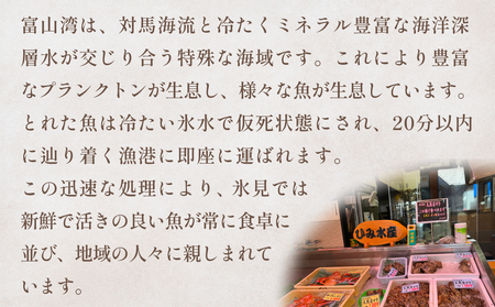 ＜冷蔵便＞旬の刺身詰め合わせ 2、3人前（2、３種類） ｜ 刺身 さしみ お造り 冷蔵 旬 新鮮 魚介 産地直送 富山 氷見漁港 盛り合わせ お魚 海の幸 地域限定 地魚 小分け カット済み 真空パッ