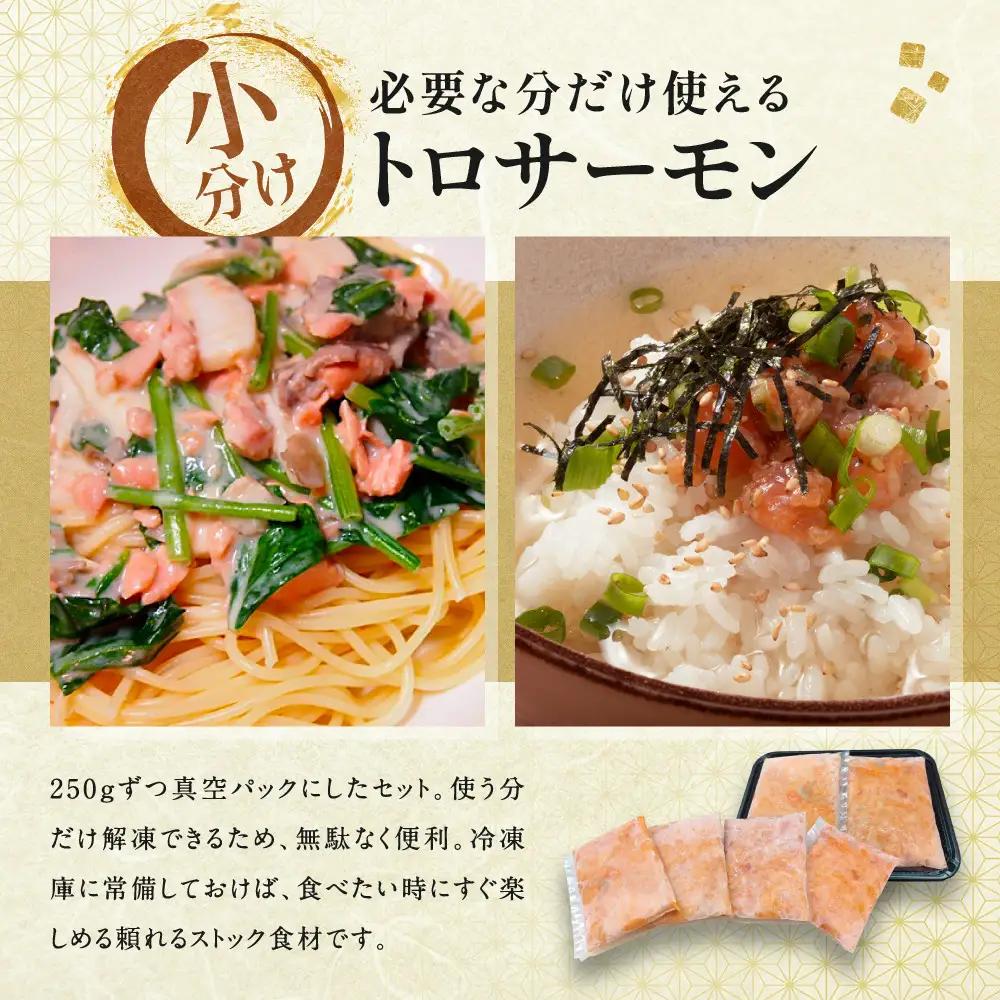 トロサーモン 250g×8パック ノルウェー産 サーモン