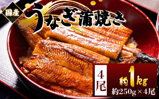 
            国産蒲焼きうなぎ ２５０ｇ ４尾 計１０００ｇ 国産 鰻 ウナギ 養殖 かばやき タレ付き おつまみ スタミナ 土用の丑の日 丼ぶり 一品 香南市 うなぎ 鰻 国産 ギフト 蒲焼き 加工品 加工食品 惣菜 おかず お手軽 冷凍 人気 おすすめ 大容量 10000円以上 1万円以上 魚介 魚 海鮮 鰻蒲焼 うなぎの蒲焼 鰻蒲焼 うな重 うな丼訳あり ( 家庭用 ) ではない 国産 fb-0169
          