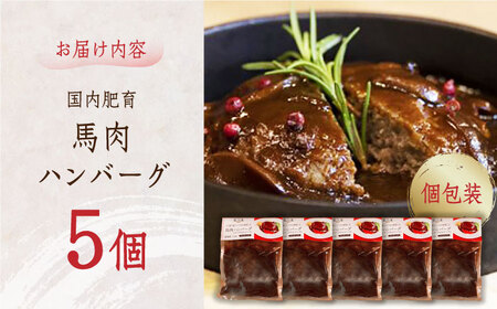 馬肉100％ハンバーグ 計1kg ( 200g × 5個 ) 国内肥育 デミグラスソース入り 小分けハンバーグ 個包装ハンバーグ 惣菜 湯煎 熊本ハンバーグ 国産ハンバーグ  熊本ハンバーグ 馬肉ハン