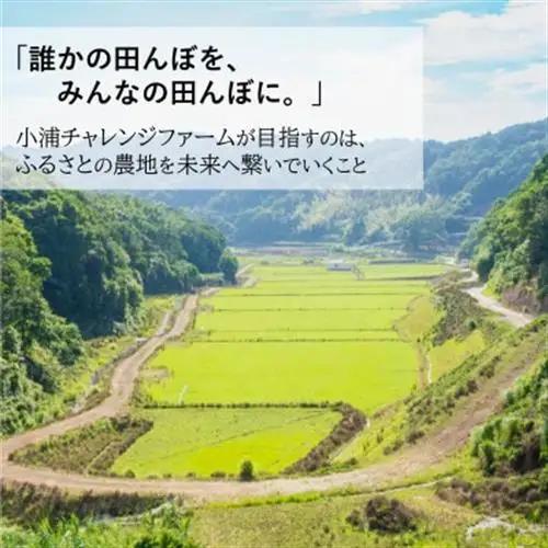 令和8年産(2026年産) 新米!小浦れんげ米(にじのきらめき)【無洗米】 5kg【1680206】