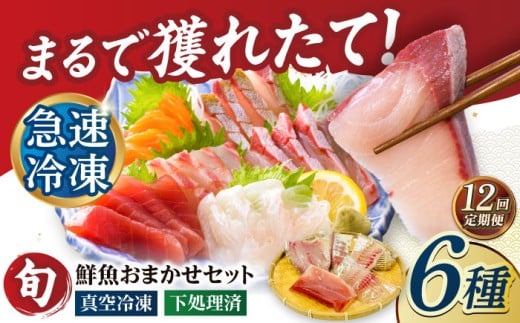 【12回定期便】【下処理済】超速冷凍鮮魚6種（5種+焼物用1種） 五島市/金沢鮮魚[PEP067]魚 鮮魚 鮮魚ボックス