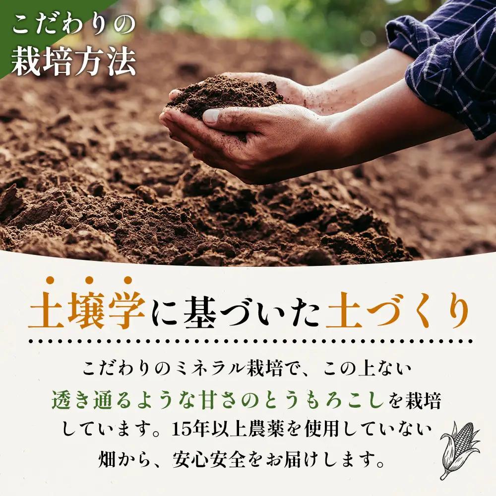【2026年度発送分】上原農場直送 有機栽培とうもろこし (サニーショコラ) 約10kg 約20本前後【6602001】