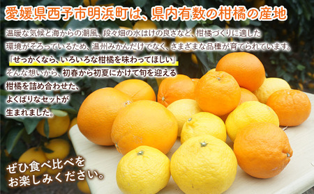 【先行予約】＜笑丸のお楽しみ柑橘福袋（家庭用）約7kg＞ 自宅用 訳あり 果物 くだもの フルーツ ミカン みかん 蜜柑 高級柑橘 詰め合わせ 春柑橘 春みかん 夏柑橘 特産品 笑丸 愛媛県 西予市 