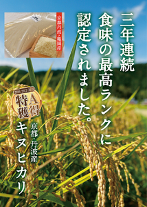 【定期便】令和5年産 米 5kg 6ヶ月 京都丹波産 キヌヒカリ 白米＜JA京都 たわわ朝霧＞ 6回定期便 5kg×6回 計30kg 毎月発送に合わせて精米