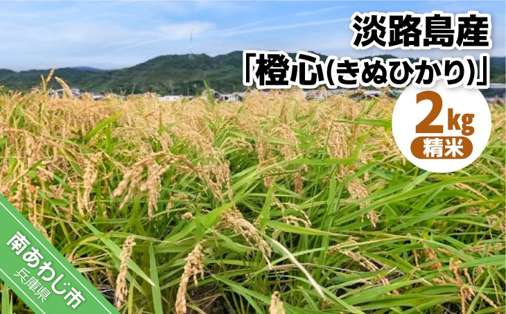 
            令和７年度産 新米 淡路島産「橙心(きぬひかり)」　精米2kg　◆配送9月末～
          