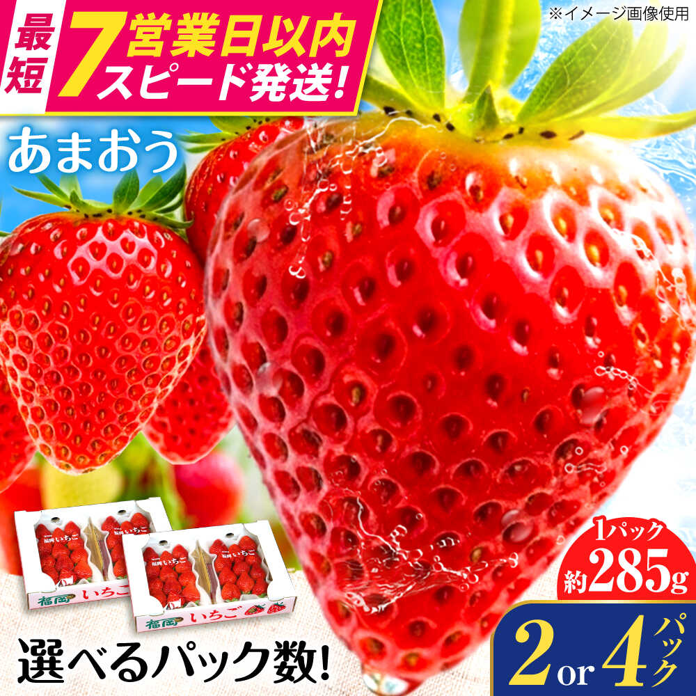【ふるさと納税】【最短7営業日以内発送】【選べる容量】『自然環境農法』で育てた福岡県産 あまおう 2パック or 4パック （1p約285g）＜おおきべりー株式会社＞ 那珂川市 | いちご フルーツ くだもの 果物 あまおう 九州産 苺 国産 [GZE002]