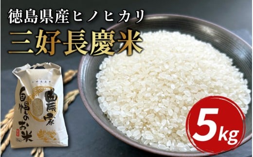 米 令和7年産 新米 5kg 三好長慶米 ヒノヒカリ こめ お米 ご飯 ごはん おにぎり 白米 精米 ギフト 贈答 プレゼント グルメ 送料無料 徳島県 三好市 三野町 特産 みよし 大西農園