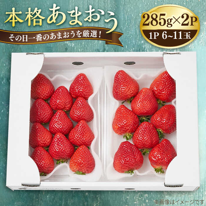 【ふるさと納税】【先行予約】その日一番のあまおうを即日出荷！本格 あまおう (285g×2パック) 【2026年1月以降順次発送】糸島市 / みのりのりん フルーツ 旬 [ABD002] 17000円