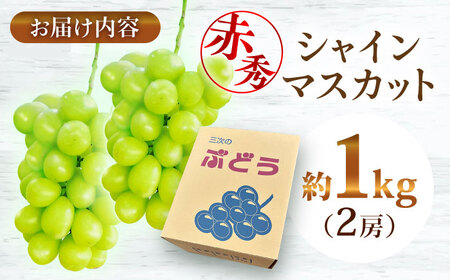 【先行予約】【9月中旬から9月末に順次発送】 ぶどう シャインマスカット 1kg（2房 赤秀） 露地栽培 シャインマスカット マスカット 果物 くだもの フルーツ ぶどう 葡萄 三次市/西田ぶどう園[