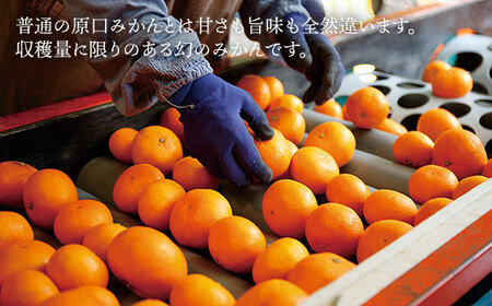 先行予約 幻の原口みかん 約3kg ＜原口果樹園＞[CCW004] みかん