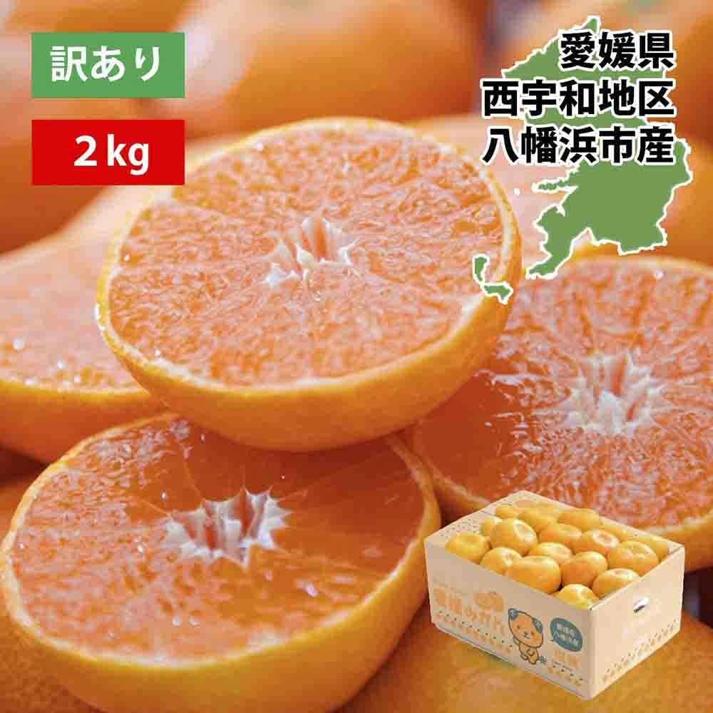 
                  【先行受付】西宇和地区八幡浜産 愛媛みかん2kg＜訳あり＞＜A25-173＞【1586173】 YWTAP114
                