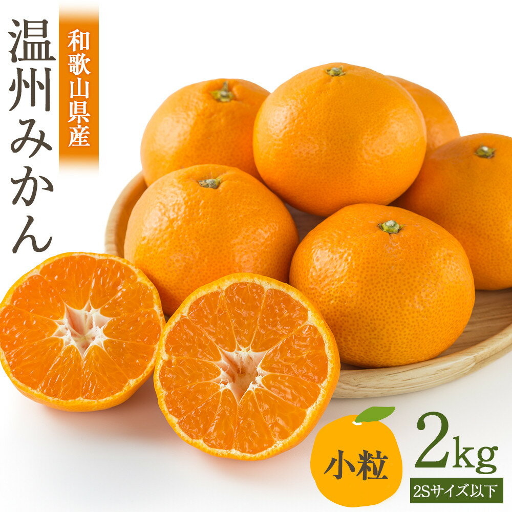 【ふるさと納税】［先行予約］訳あり 温州みかん 約2kg 小粒［2025年11月上旬頃から順次発送予定］ | みかん 蜜柑 フルーツ 果物 くだもの 食品 人気 おすすめ 送料無料 産地直送