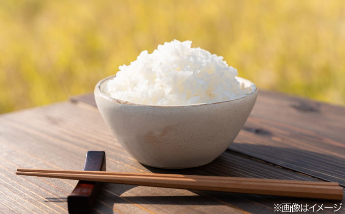 【全3回定期便】とくべつの中のとくべつ 特別栽培米 3kg 夢つくし 吉富町/(株)やました [BGBX002] 白米 精米 米