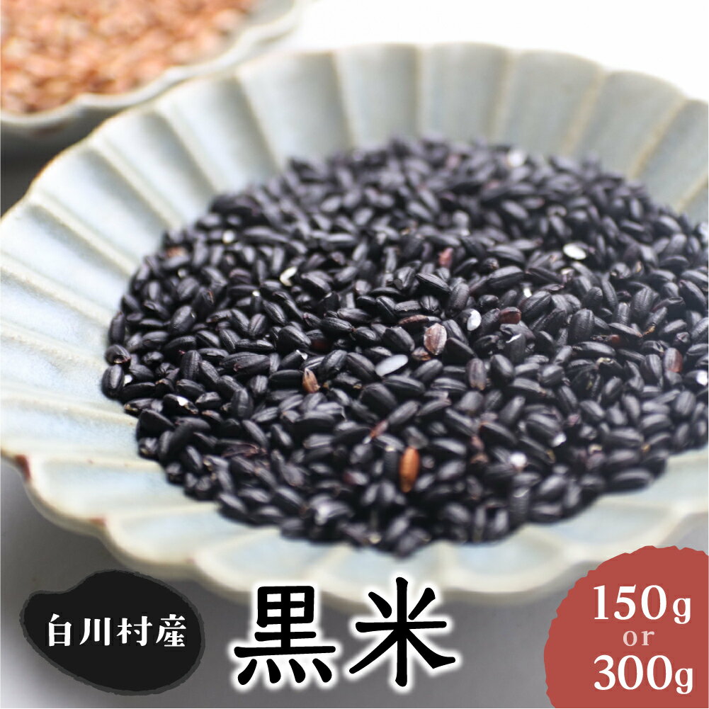 【ふるさと納税】選べる 玄米 白川郷の古代米 黒米 150g 300g 1袋 もち米 紫黒米 雑穀米 国産 くろまい 岐阜県 白川村 観光地応援 3000円 6000円 [S050]