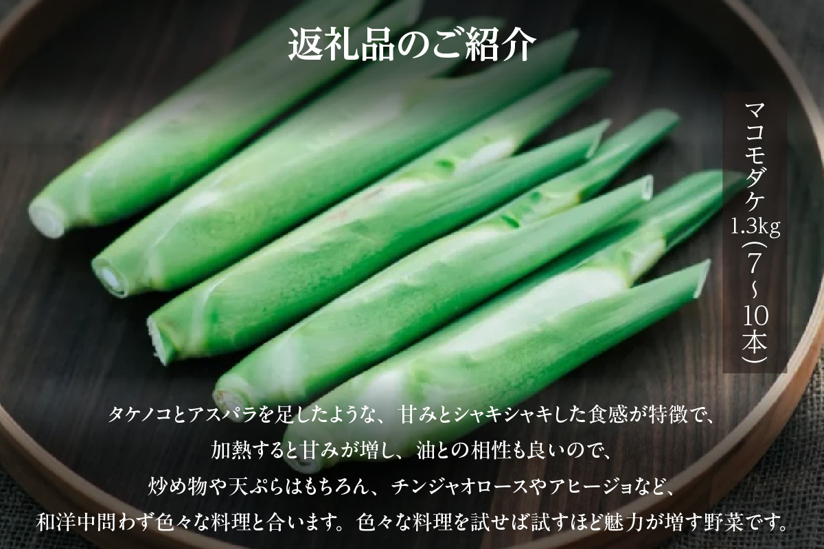 知立市特産　マコモタケ(1.3kg)　（7～10本）（2124）