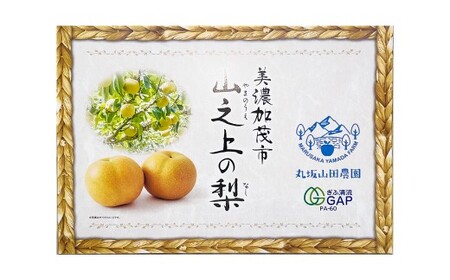 【ふるなびWEEK対象】《先行予約》｢丸坂山田農園｣ 山之上梨 幸水 1箱 （ 約2.5kg ／ 5～8玉 ） 【2026年8月上旬～8月下旬 発送予定】