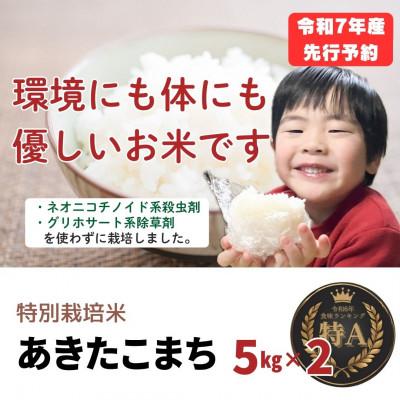 ふるさと納税 大仙市 令和7年産「特別栽培米あきたこまち」精米5kg×2袋(計10kg) おこめのさわた 秋田県産