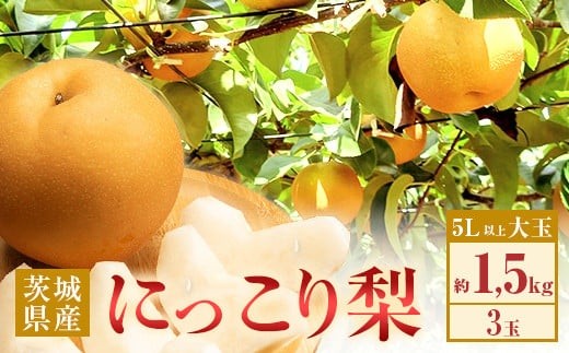 355 にっこり梨 約1.5kg 3玉 5L以上 大玉 梨 なし 先行予約 【2026年 10月上旬ころより順次発送予定】
