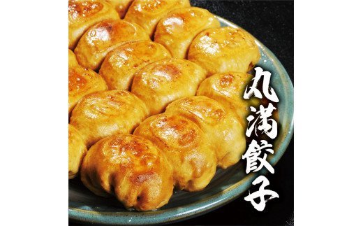 焼餃子三昧セット（Ｄ） ※着日指定不可 ｜ 丸満 餃子 焼餃子 ぎょうざ ギョウザ 惣菜 おかず おつまみ マルマン 丸満餃子 名物グルメ ソウルフード ギフト 贈答 贈り物 プレゼント お中元 お歳暮 茨城県 古河市 送料無料 _CO03