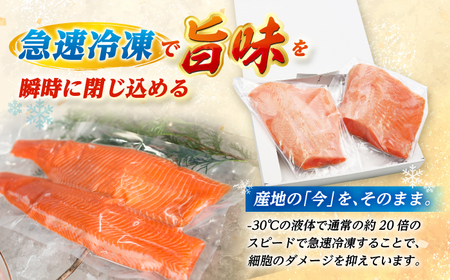 国産 ふくいサーモン 200g × 2パック 合計400g  刺身 サケ 鮭 [BFAA077] 【配送不可地域：北海道・沖縄・離島】 