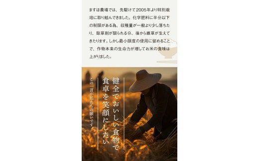 1月中旬配送／令和8年産【玄米】　特別栽培米『はえぬき』 10kg(5kg×2袋)［減農薬・減化学肥料］ MA SB1145