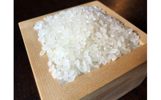 令和8年産新米 丹波篠山の山水で栽培！有機コシヒカリ5kg 兵庫県 丹波篠山市 白米 100％単一原料米 産地直送米 おいしい お米 精米 コシヒカリ ブランド おこめ 健康 送料無料 おすすめ 人気 口コミ