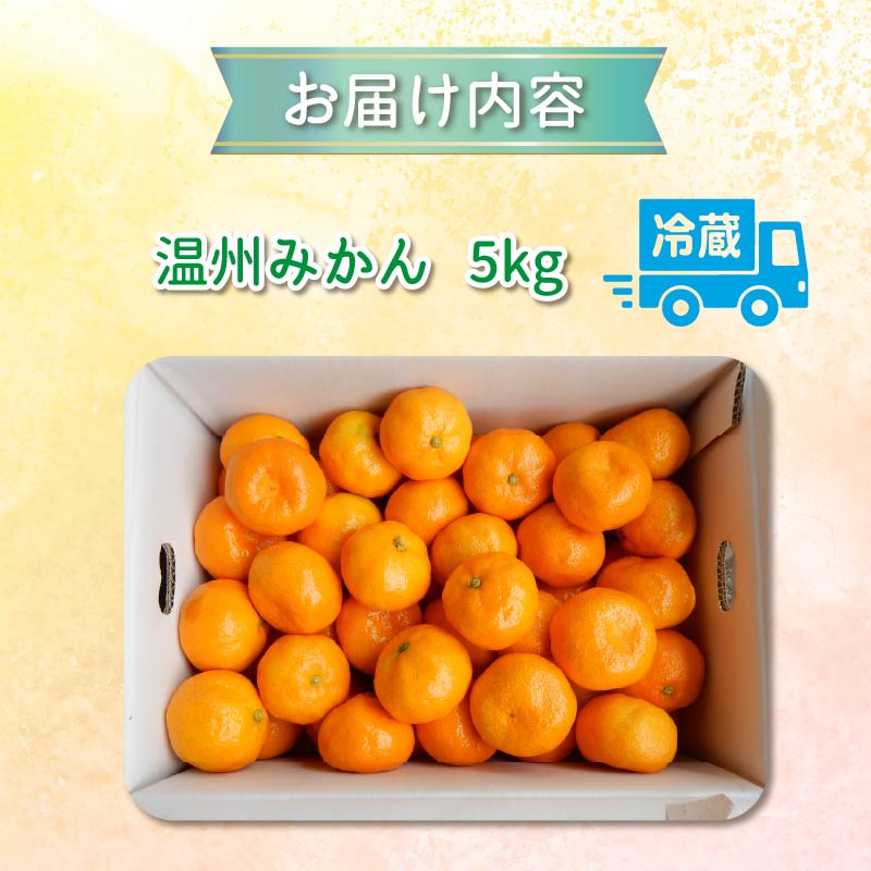  みかん 温州みかん 5kg 先行予約 10月より順次発送 旬 柑橘 蜜柑 ミカン オレンジ orange フルーツ 果物 くだもの 温州 国産 季節限定 産地直送 静岡県産 横山商店 静岡県 伊豆 