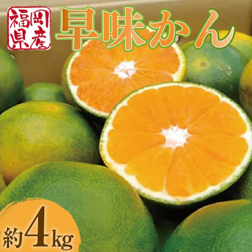 みかん 早味かん 約 4kg 【期間限定発送】 [南国フルーツ 福岡県 宇美町 um40azo970031] 先行予約 福岡県産 ミカン 早生みかん 早生ミカン フルーツ 果物 くだもの 果実 甘い 