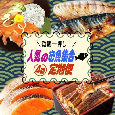 ふるさと納税 北山村 【毎月定期便】魚鶴一押し!人気のお魚集合定期便(さば・銀鮭・うなぎ・海鮮丼)【tkb308】全4回
