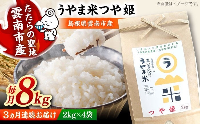 
            お米【全3回定期便】神話の里/吉田町「うやま米」つや姫 8kg（2kg×4）白米 精米 コメ おこめ お米 つやひめ 定期便 おすすめ 人気 米 ごはん ご飯 食卓 主食 ブランド米 お取り寄せ グルメ ご当地米 家族 ファミリー 一人暮らし 便利 8キロ おいしい ごはんソムリエ ミネラル 国産 新生活 お弁当 朝ごはん 朝食 昼食 ご当地 島根県雲南市/有限会社藤本米穀店 [AIDB090]
          